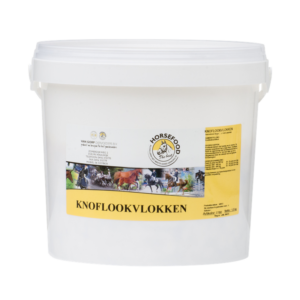 Suszony czosnek w płatkach 2kg